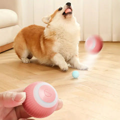 Electric Dog/Cat Toys